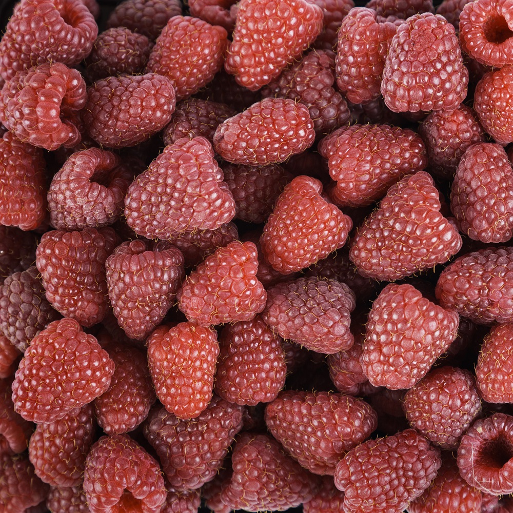 Top 10 Summer fruit perfumes | Blog | The Perfume Shop