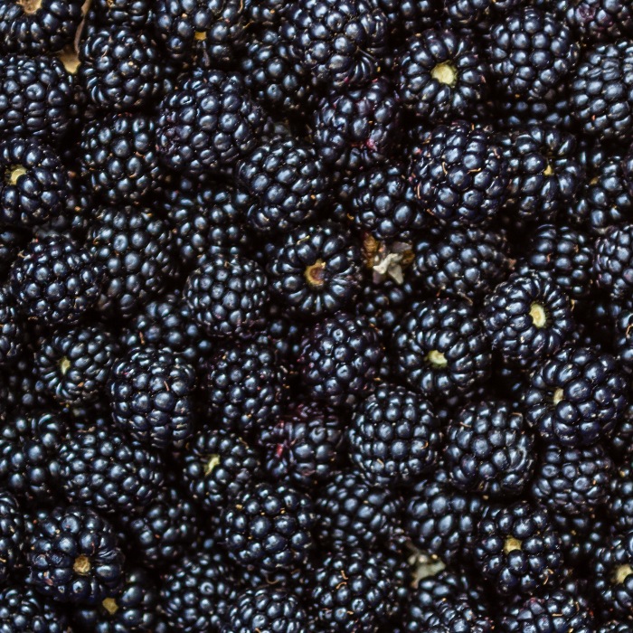 pile of blackberries 