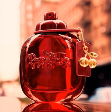 Fragrances for Freshers