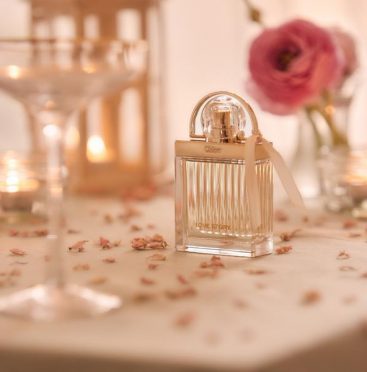 Perfumes for your wedding day
