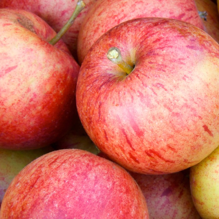 pile of whole red apples