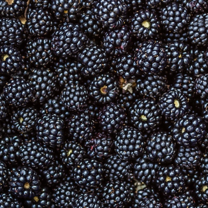 pile of blackberries 