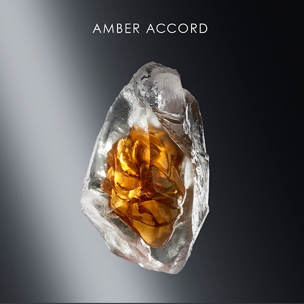 AmberAccord600x600.jpg