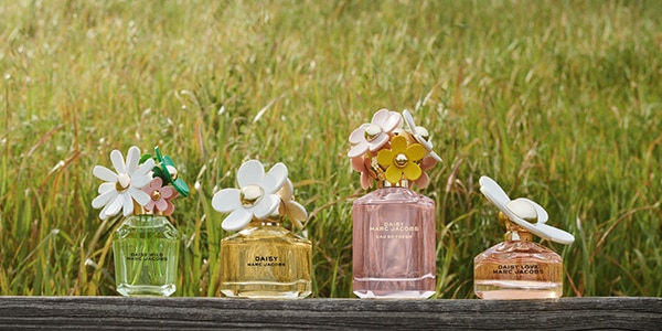 🌼 WHICH DAISY ARE YOU? 🌼