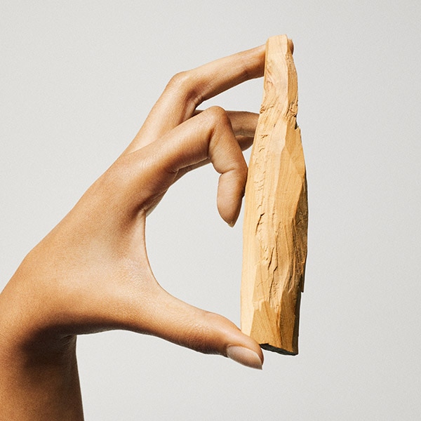 Hand holding sandalwood