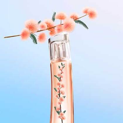 75ML KENZO Flower Ikebana Mimosa Eau de Parfum Spray  3 of 5 