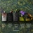 50ML Gucci Guilty Essence Pour Homme Eau de Toilette Spray  4 of 4 