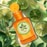 100ML Monotheme Il Libro Degli Agrumi Lime Eau de Toilette Spray  3 of 4 