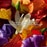 75ML Guerlain Aqua Allegoria Florabloom Forte Eau de Parfum Spray Gift Set  4 of 4 