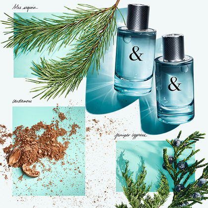 Tiffany and co for him outlet