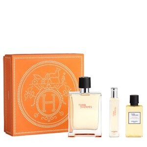 100ML HERMÈS Terre d'Hermès Eau de Toilette Gift Set for him - 100ml  1 of 1 