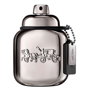 100ML Coach Pure Platinum Parfum Spray  