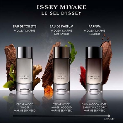 100ML Issey Miyake Le Sel d'Issey Parfum Spray  5 of 6 
