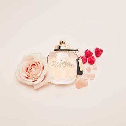 Coach buy perfume fragrances for women