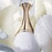 50ML DIOR J’adore Parfum d’Eau Eau de Parfum Spray  2 of 4 