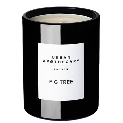300G Urban Apothecary Fig Tree Candle  1 of 3 