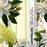 125ML Montblanc Neroli Letters Eau de Parfum Spray  4 of 5 