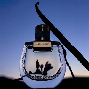 Chlo Nomade Nuit D Egypte Eau De Parfum Spray The Perfume Shop