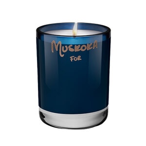 300G Better World Fragrance House Muskoka Candle  1 of 1 