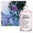 30ML Maison Margiela Up At Dawn Eau de Toilette Spray  3 of 5 