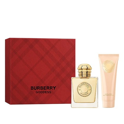 Burberry gift bag sale