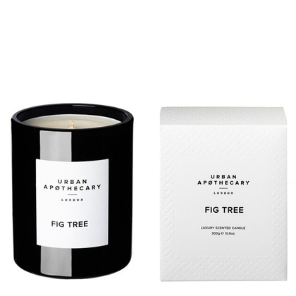 300G Urban Apothecary Fig Tree Candle  2 of 3 