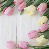  The Perfume Shop Flowers eGift Card  1 of 3 