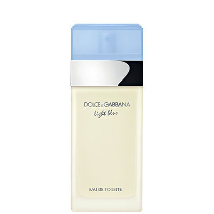 Dolce Gabbana Light Blue Eau de Toilette Spray The Perfume Shop