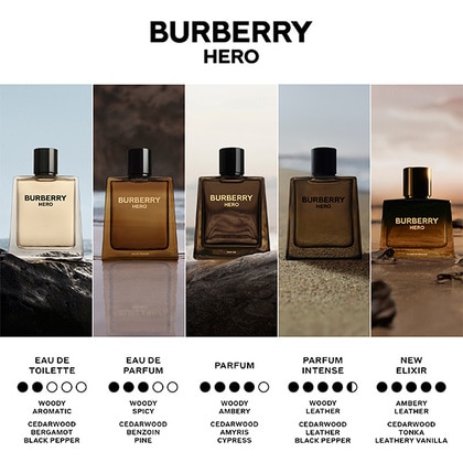 150ML Burberry Hero Parfum Spray  5 of 6 