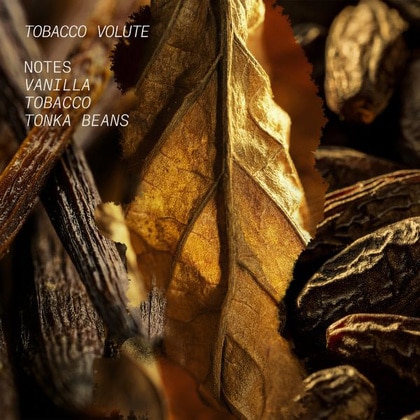 50ML L’Atelier Parfum Tobacco Volute Hair Mist  2 of 4 