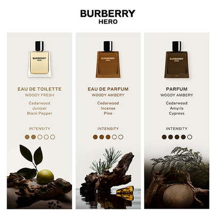 Burberry cologne notes hotsell