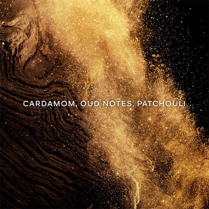 125ML Guerlain Absolus Allegoria Épices Exquises Eau de Parfum Spray  3 of 5 