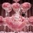 50ML Viktor Rolf Flowerbomb Eau de Parfum Gift Set  4 of 6 
