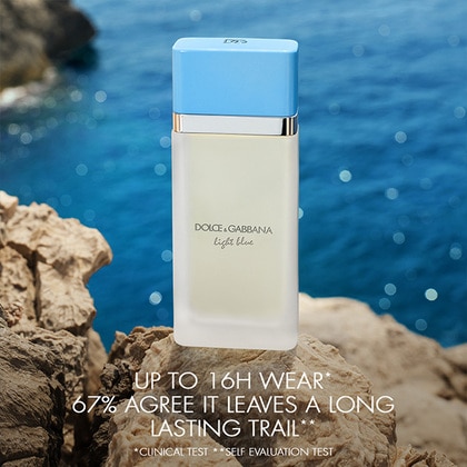 Dolce&Gabbana Light Blue Eau de Toilette Spray | The Perfume