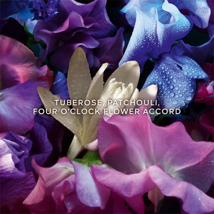 125ML Guerlain Absolus Allegoria Florabloom Eau de Parfum Spray  4 of 5 