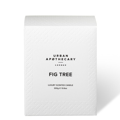 300G Urban Apothecary Fig Tree Candle  3 of 3 
