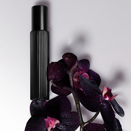 Black Orchid