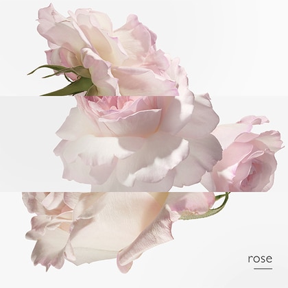 85ML HERMÈS Twilly d'Hermes Eau Poivree Eau de Parfum Spray  5 of 5 