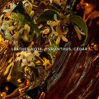 125ML Guerlain Absolus Allegoria Cuir Intense Eau de Parfum Spray  4 of 5 