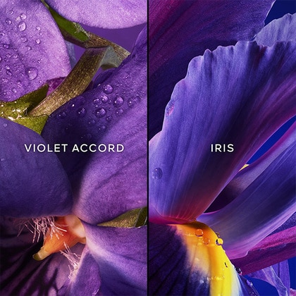 75ML Guerlain Insolence Eau de Parfum Spray Gift Set  5 of 5 