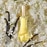 90ML Giorgio Beverly Hills Giorgio Eau de Toilette Spray Gift Set  3 of 5 