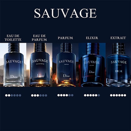 DIOR Sauvage Parfum Spray 60ML | The Perfume Shop