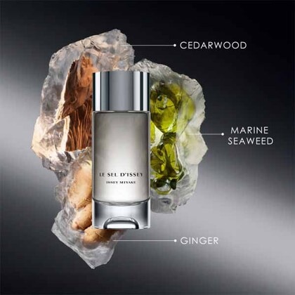 50ML Issey Miyake Le Sel d'Issey Eau de Toilette Spray Gift Set  2 of 5 