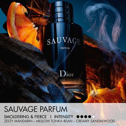 100ML DIOR Sauvage Parfum Spray Limited Edition Case  2 of 4 