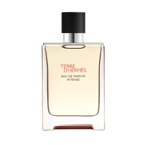 100ML HERMÈS Terre d'Hermès Intense Eau de Parfum Spray  