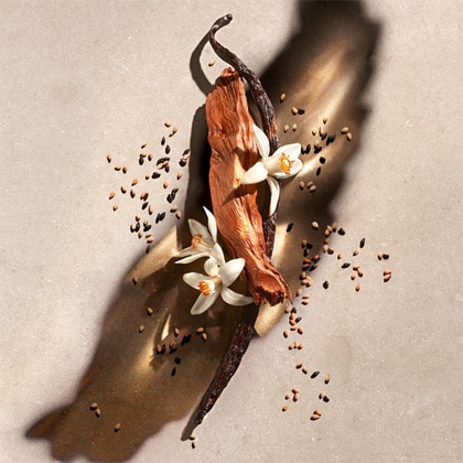 50ML Zadig & Voltaire ZADIG Eau de Parfum Spray Xmas gift set  3 of 5 