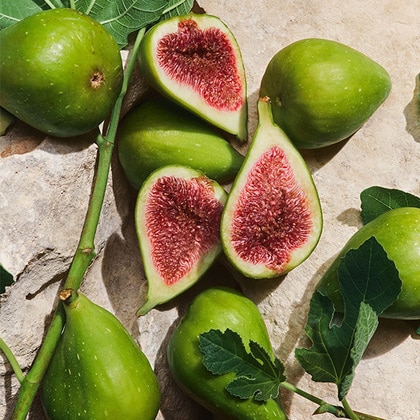 100ML Dolce&Gabbana Light Blue Capri in Love Pour Homme Eau de Parfum Spray  2 of 5 