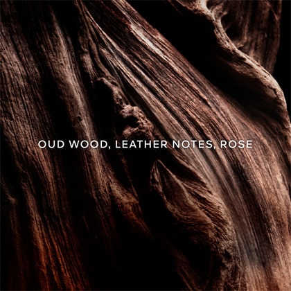 125ML Guerlain Absolus Allegoria Oud Essentiel Eau de Parfum Spray  3 of 5 