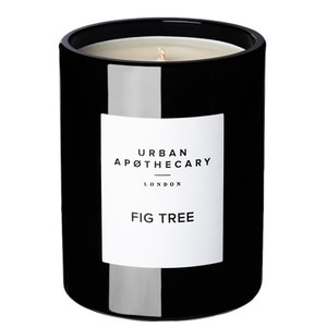 300G Urban Apothecary Fig Tree Candle  1 of 1 