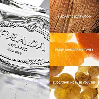 Les infusions de prada iris cedre best sale